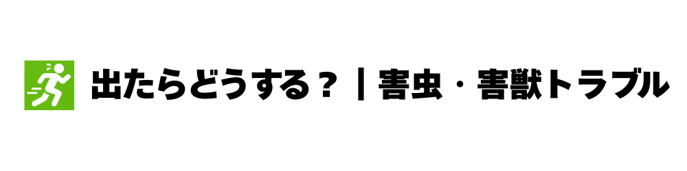 出たらどうする？｜害虫・害獣トラブル